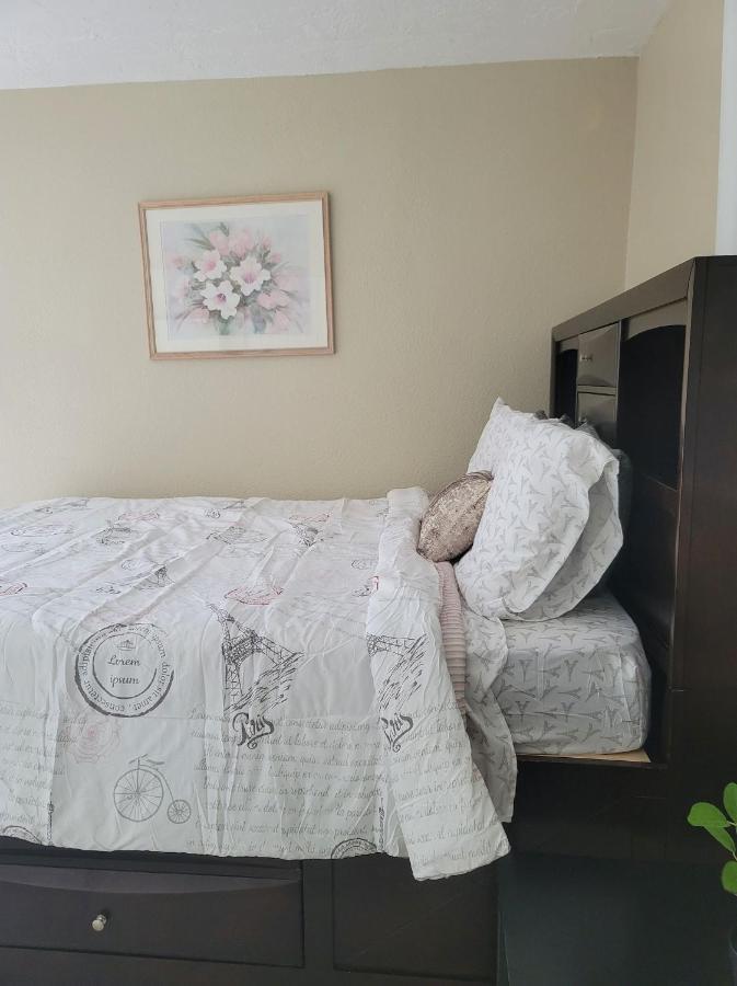 Entire Guesthouse 5 Mins To Siesta Key & Downtown サラソータ エクステリア 写真